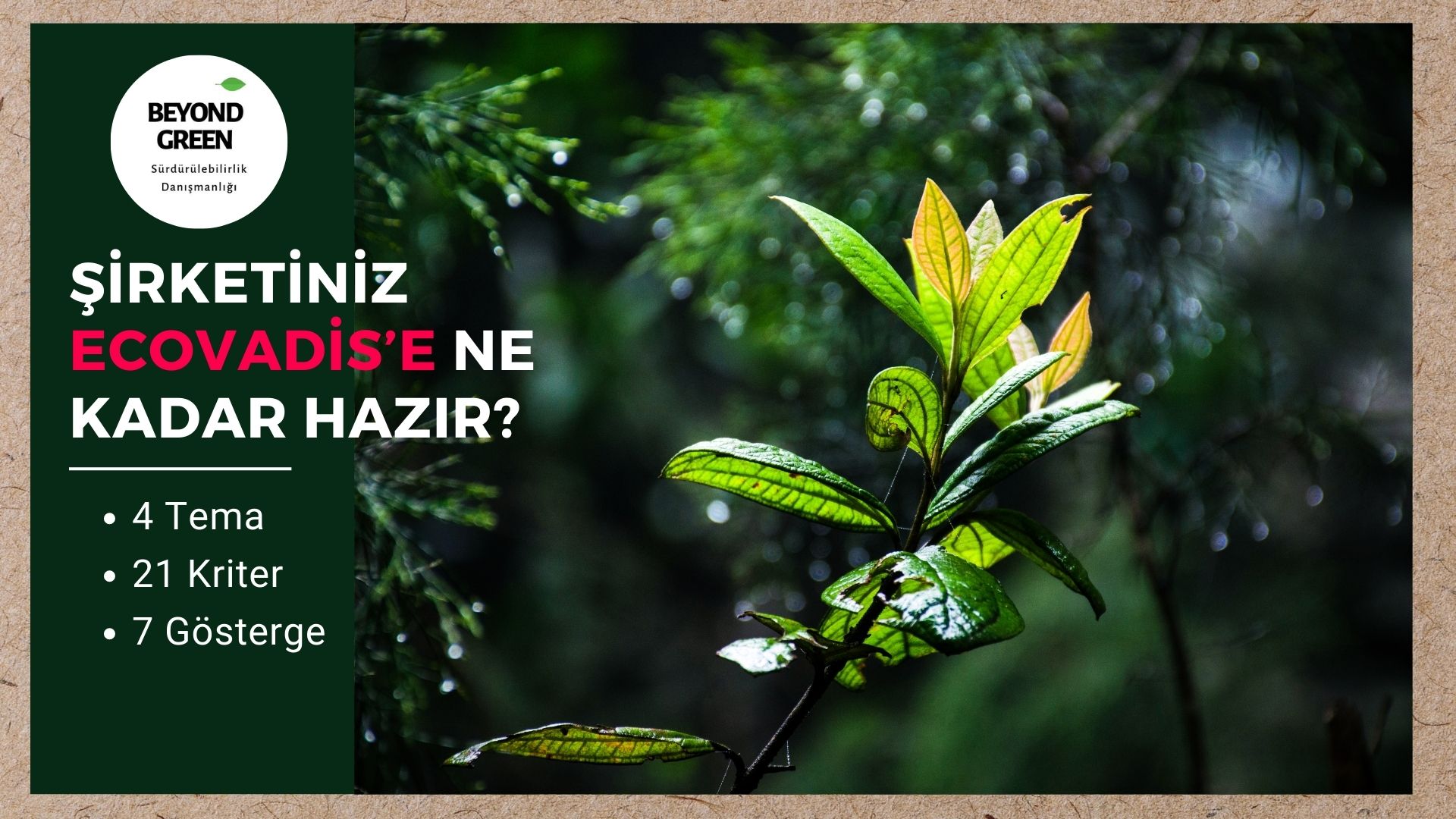 Şirketiniz EcoVadis’e Ne Kadar Hazır? 4 Tema – 21 Kriter – 7 Gösterge