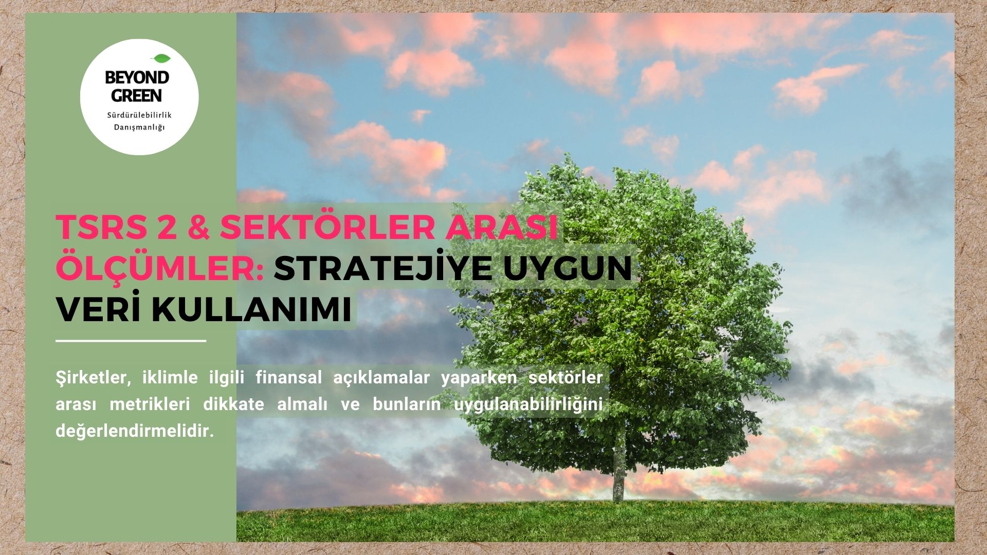📊 TSRS 2 & Sektörler Arası Ölçümler: Stratejiye Uygun Veri Kullanımı 📊