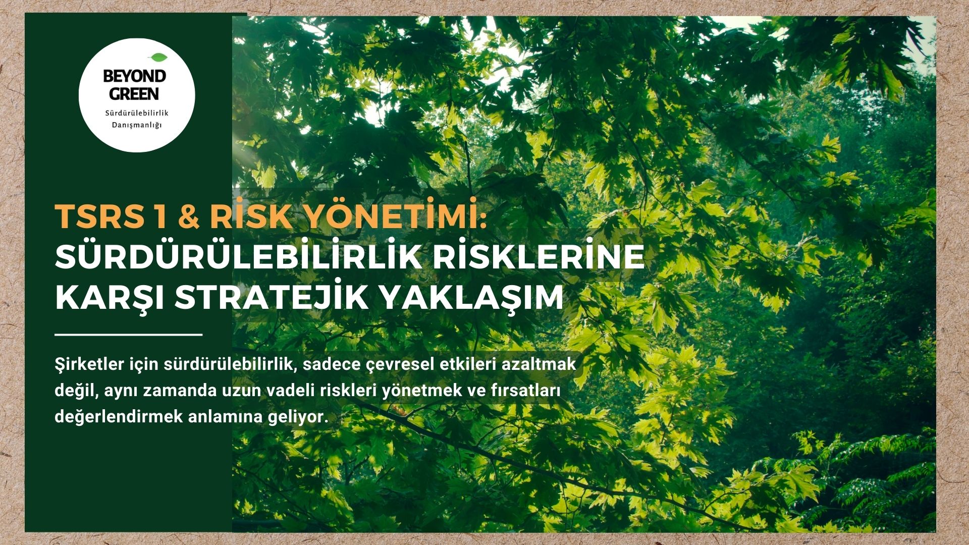🌍 TSRS 1 & Risk Yönetimi: Sürdürülebilirlik Risklerine Karşı Stratejik Yaklaşım 🌍