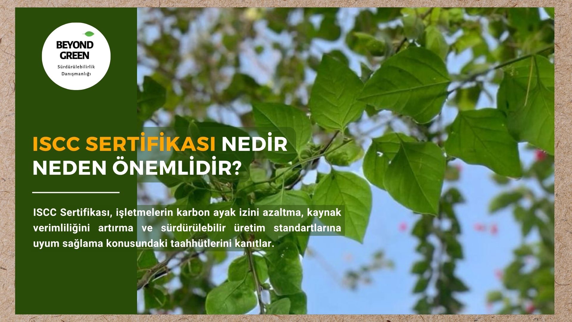 🌍 ISCC Sertifikası Nedir, Neden Önemlidir?