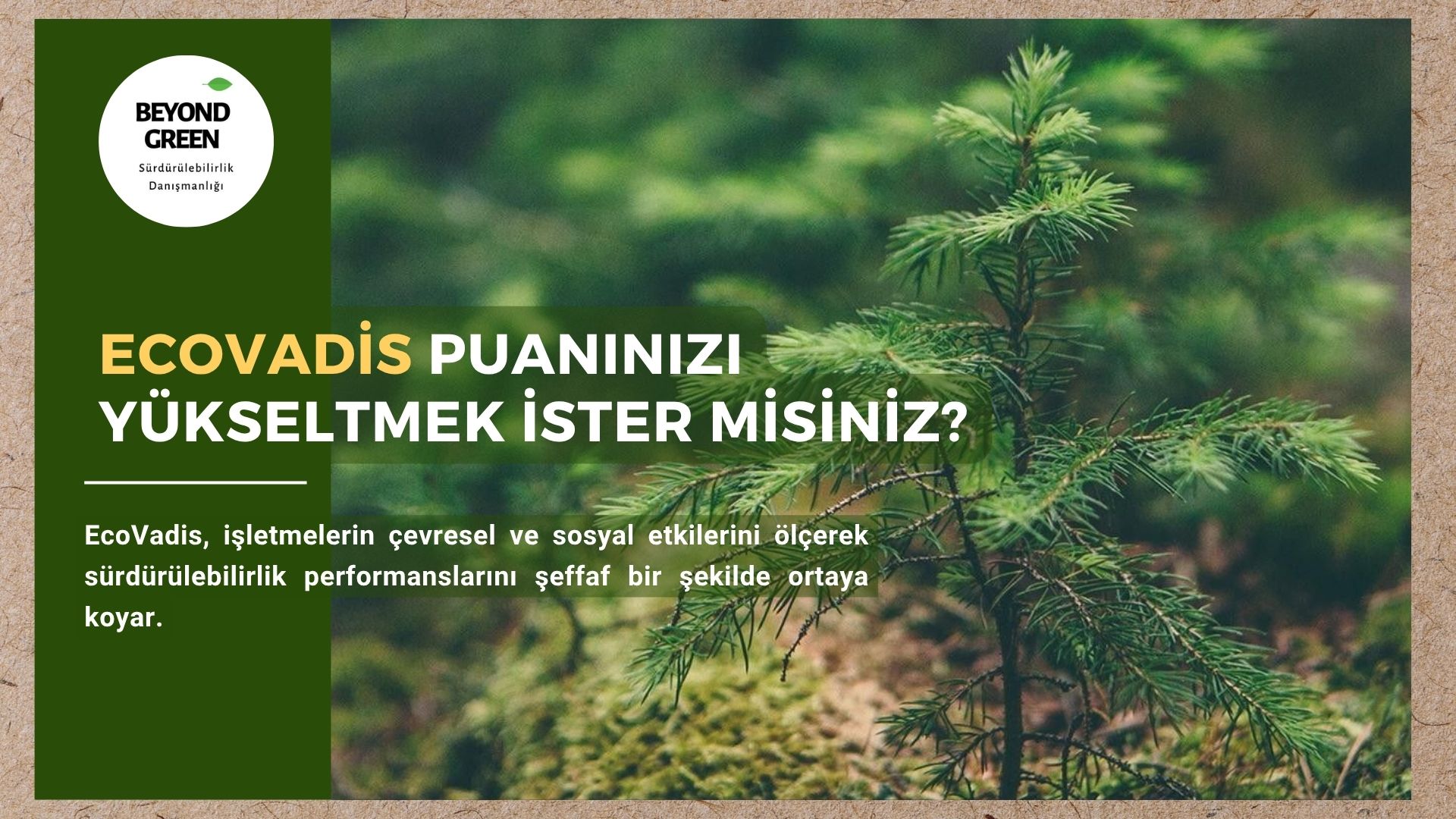 🌱ECOVADİS PUANINIZI YÜKSELTMEK İSTER MİSİNİZ?