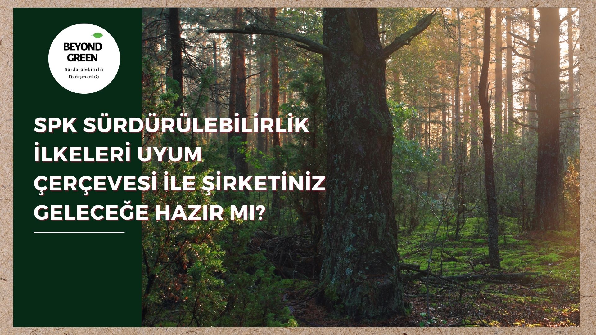 SPK Sürdürülebilirlik İlkeleri Uyum Çerçevesi ile Şirketiniz Geleceğe Hazır mı? 🌍📊