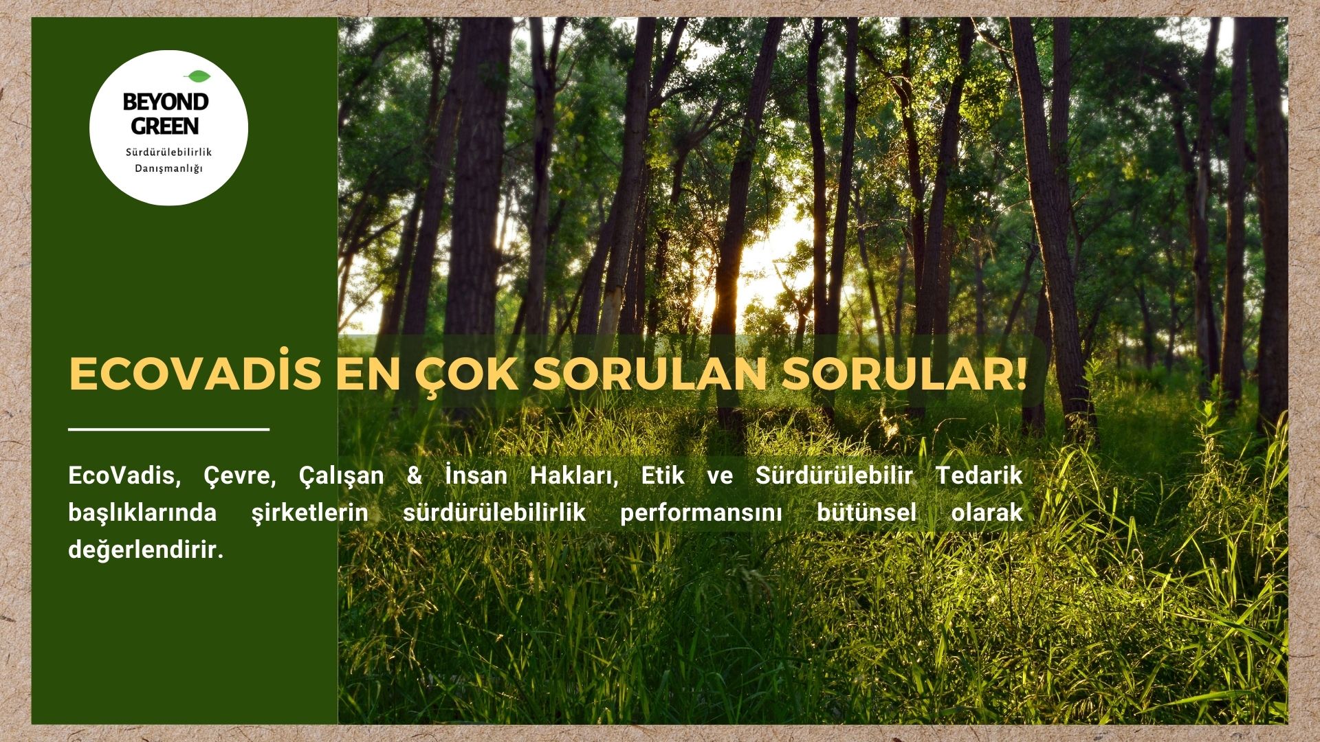 EcoVadis En Çok Sorulan Sorular!